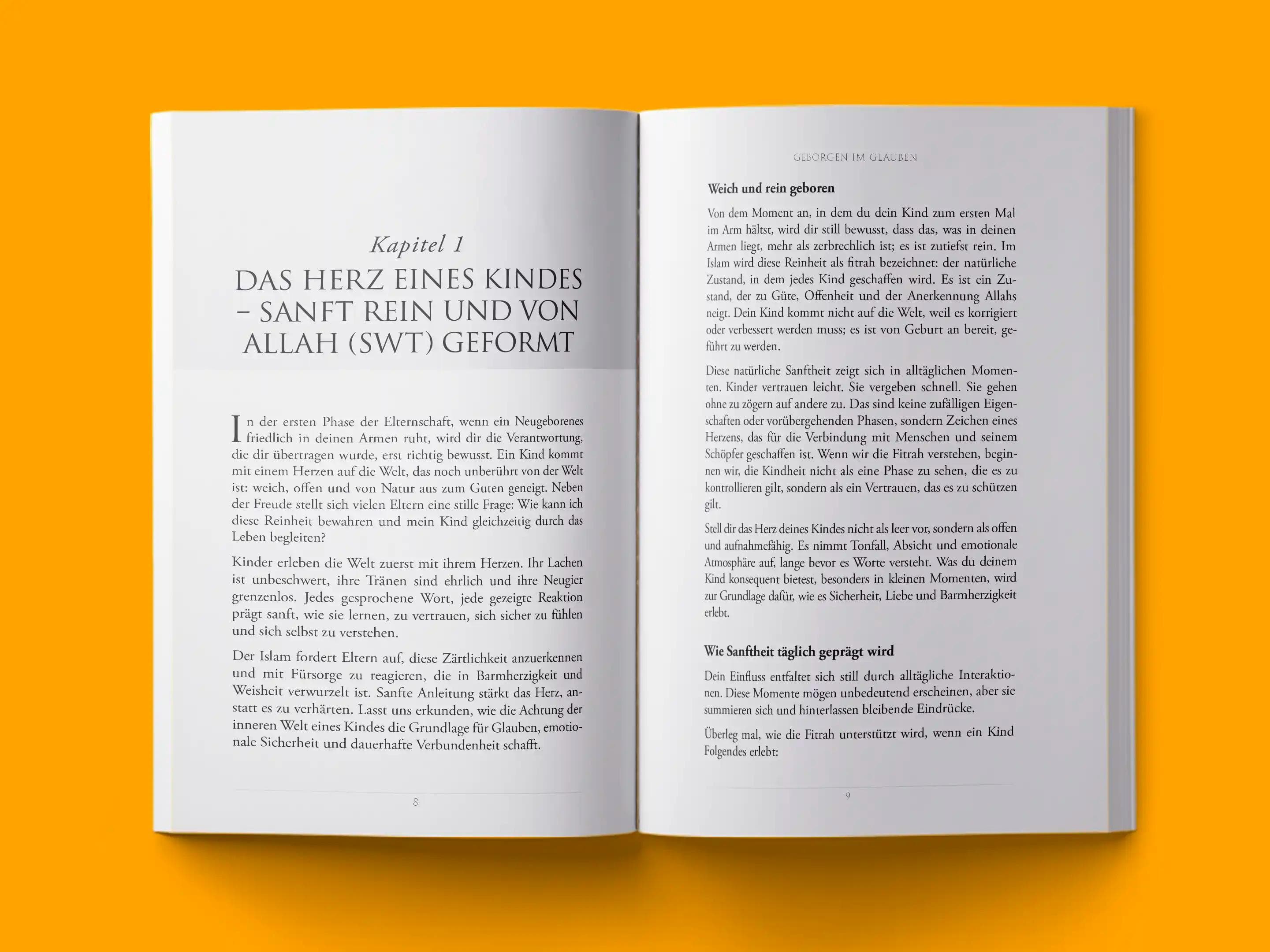 book formatting sample for GEBORGEN IM GLAUBEN by , showing Fantasy interior page layout by HMD Publishing