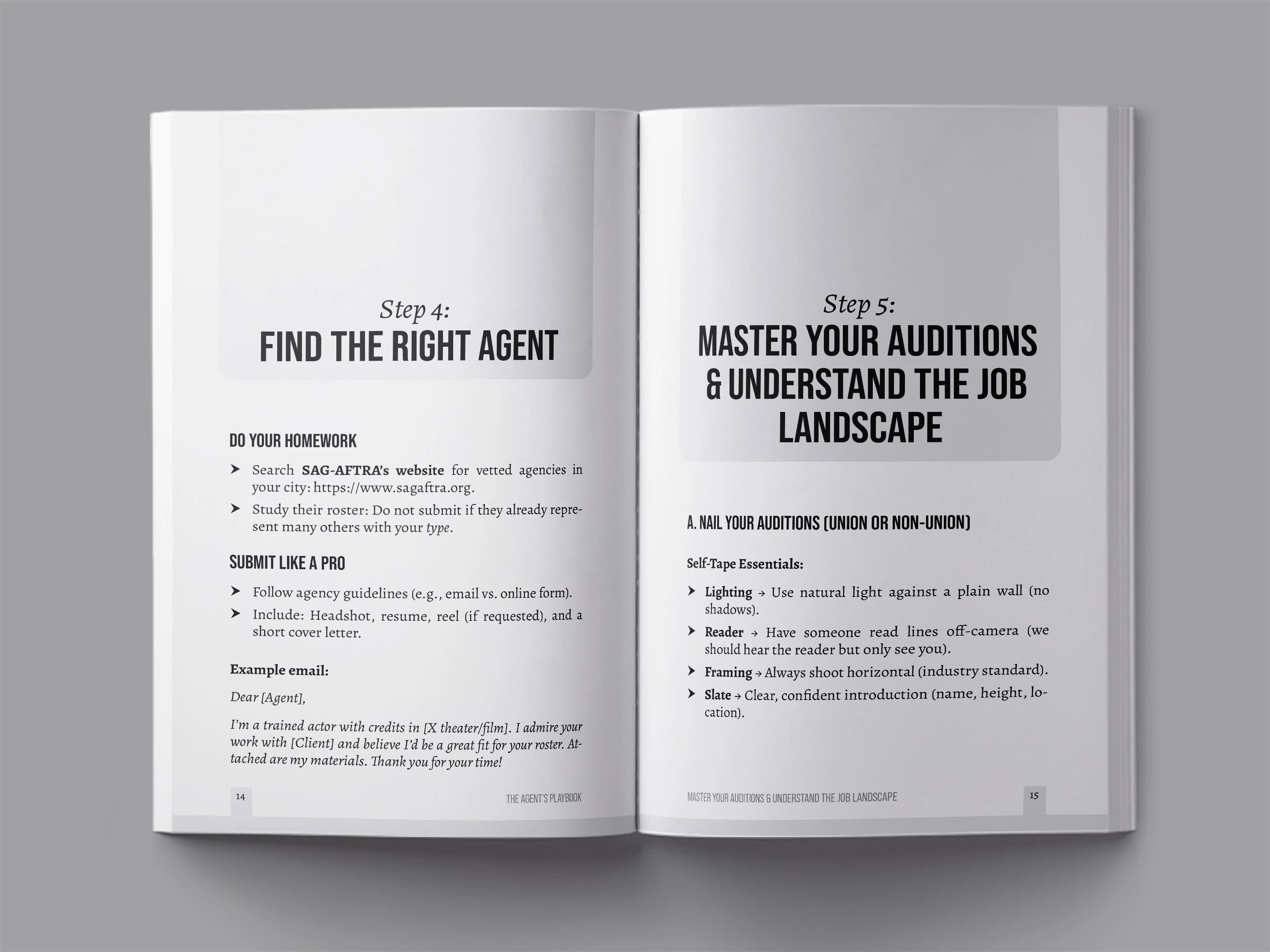 book formatting sample for The Actor's Playbook: A Complete Guide to Breaking Into the Industry by Marcus Williams, showing Not determinable from interior pages interior page layout by HMD Publishing