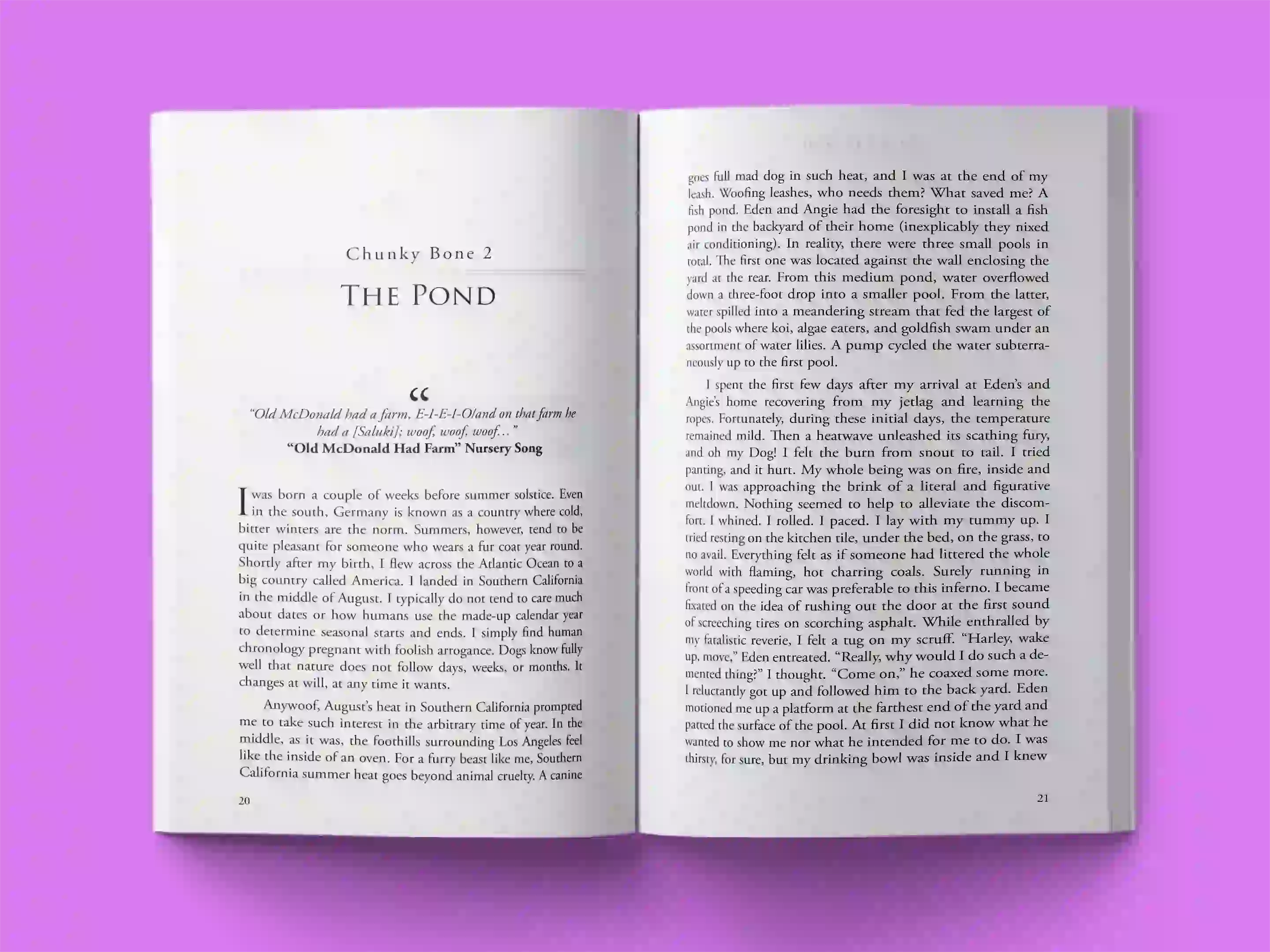 book formatting sample for Chunky Bone: A Dog's Journey by Marcus Wellington, showing Cannot determine from image interior page layout by HMD Publishing